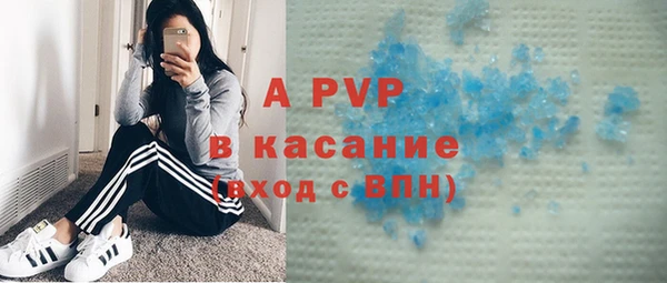 ПСИЛОЦИБИНОВЫЕ ГРИБЫ Липки